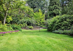Optimiser l'expérience du jardin à Saint-Romphaire